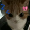 pookiesigma8