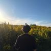 oscarperez_0130
