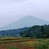 tonisipriatampan