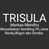markasmendho0