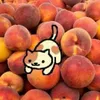 ritelarue