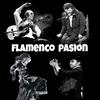 flamencopasion97