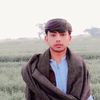 shakirhussian2474