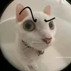tmai_truc0
