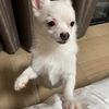 littlehappyboy