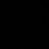 evvacam123