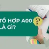 hloc_2th9