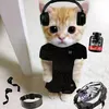 tj_is_sick