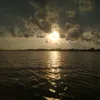 ilwthesunset