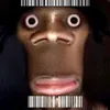 _odklejony.bazant_