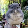 kimkhiml