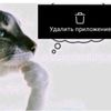 user2462049349455