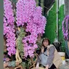 hoatuoikimthanh