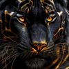 midshadow59