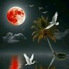 123shosho.com