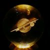 tulipanes_infinitos_2025