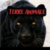 terre.animale