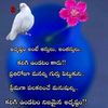 user6376702451505