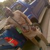 habibu.aliyukwalle