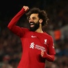 mohamedsalah4973