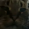 lucaperezlindo4