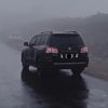 zxq.55