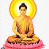 hue_quan82