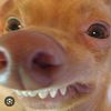 tiktokalienblog