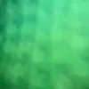 hajalaoslwmqmq