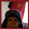 gato_sovietico153