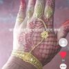 tahim4473