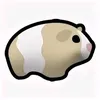 guineapig134678