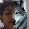 yann_coml1