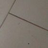 oumar.doumbia564