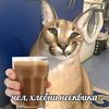 tiktok_vanya61
