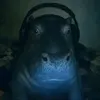 egor4ikf0