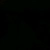 user4491600029504