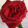 rou__123n