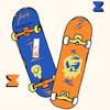 skateboard_8787