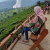 lizahendra35