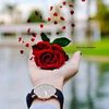 user35102930267258