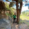 yaizmg