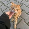 m_rbmina4