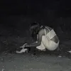 roos_oerlemanss