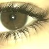 salma.mohammed385