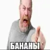 niftonxd