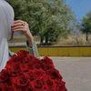 hla.rohi