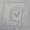 porcupine0113