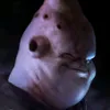 67buu0