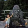 shirleygil06
